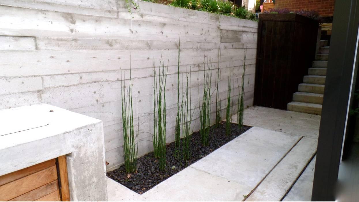 Modern Zen Garden in Woking U.K, GreenlinesDesign Ltd GreenlinesDesign Ltd حديقة Zen concrete garden wall