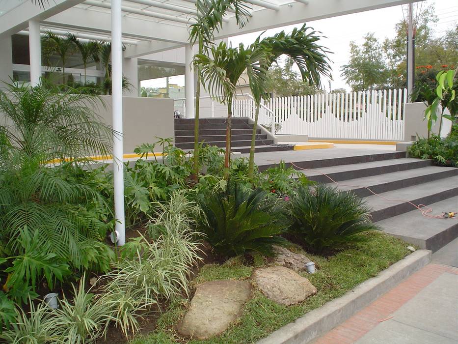 Hospital Angeles del Carmen Guadalajara, BARRAGAN ARQUITECTOS BARRAGAN ARQUITECTOS Сад в тропическом стиле