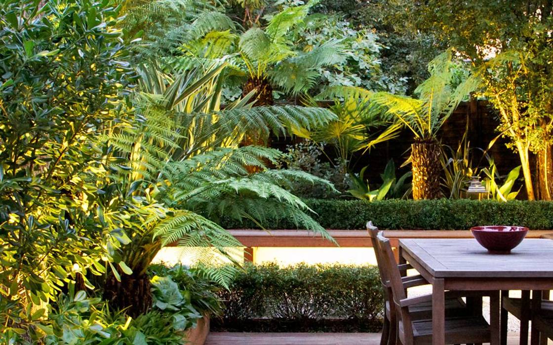 Tropical garden design, MyLandscapes MyLandscapes Modern style gardens tropical,exotic,subtropical,garden design,gardens,landscape,London,contemporary,modern,rooftops,outdoor space,courtyards