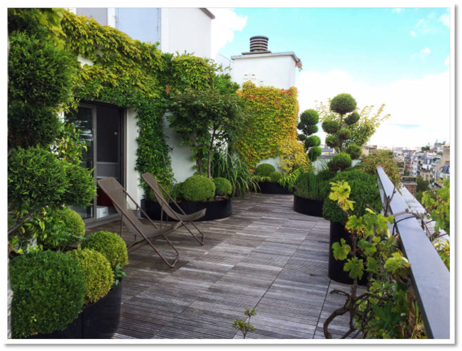 Cobertura duplex em Paris - Terrasse parisienne - Parisian Rooftop Place des Fleurs Varandas, alpendres e terraços modernos Plantar,Construção,Céu,Janela,Vegetação,Nuvem,Superfície da estrada,Retângulo,Design urbano,Grama