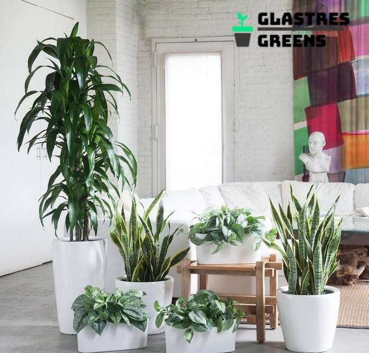 Glastres Greens, Glastres Greens Glastres Greens Vườn phong cách châu Á