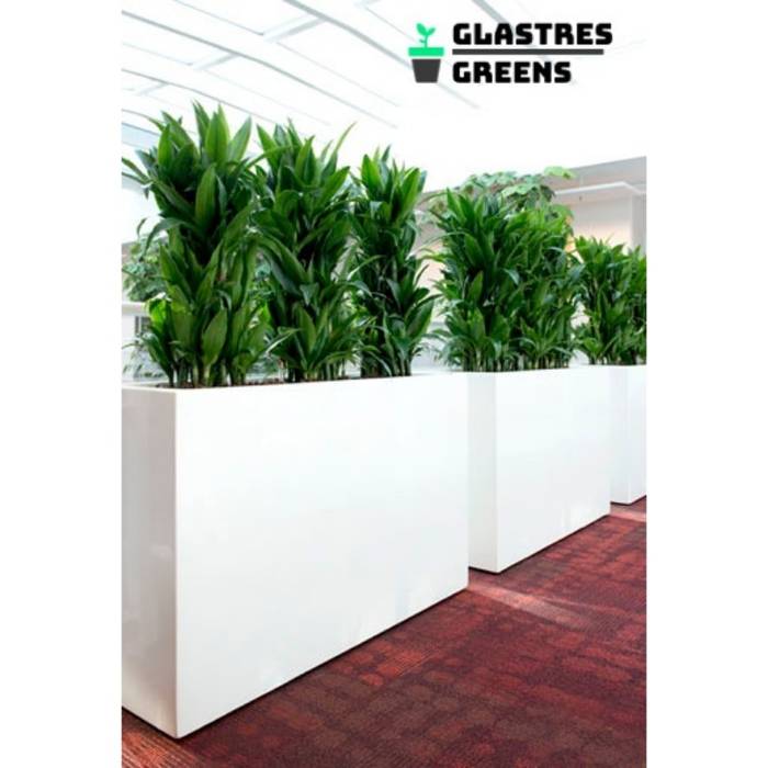 Glastres greens by glastres greens asian | homify