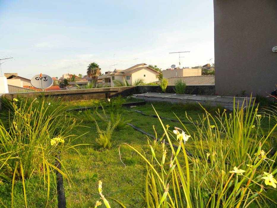 Telhado Verde - Casa Cubo homify Telhados planos arquitetura,moderno,sustentável,telhado plano,lage