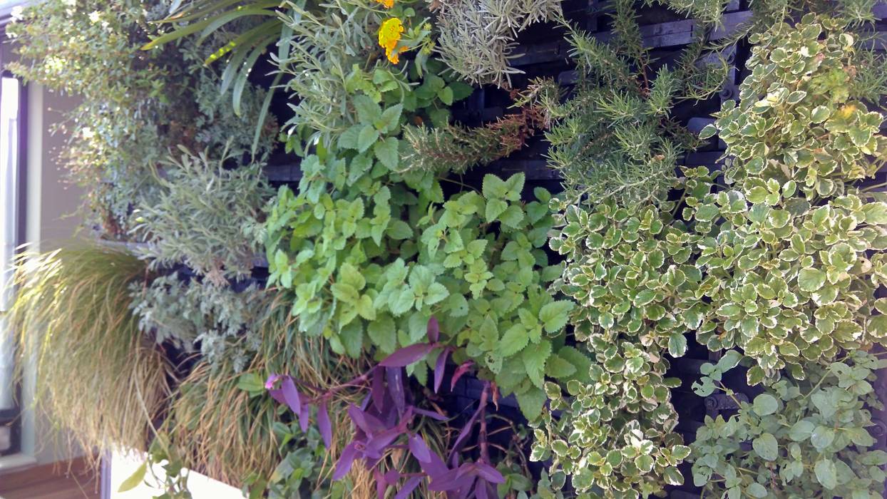 Detalle. Jardin Vertical con Substrato. GreenerLand. Arquitectura Paisajista y Tematización Jardines delanteros jardin vertical,cubierta verde,fachada,facahada verde,terraza en la azotea,terraza,atico