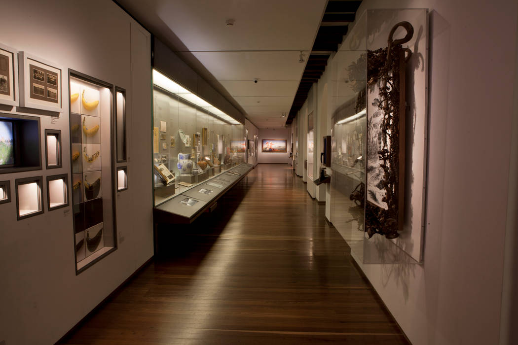 Museo Nacional de Colombia, Zet // diseño de espacios Zet // diseño de espacios Commercial spaces Museums