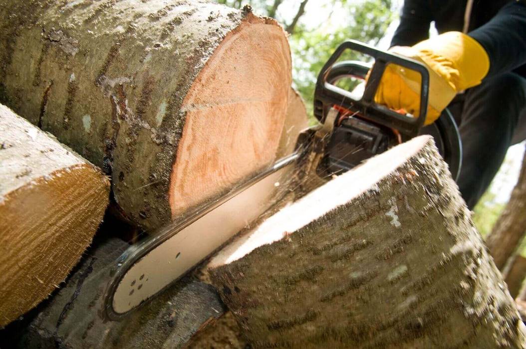 Residential Tree Cutting Tree Felling Johannesburg