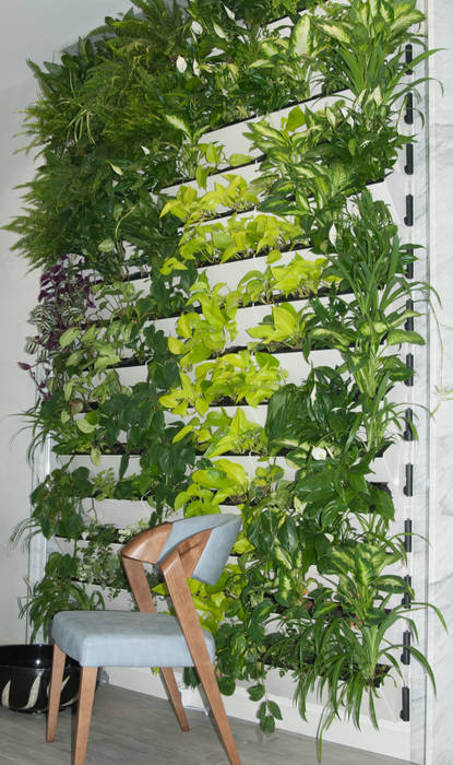 Pflanzen /Растения зеленой стены Design Büro HOTCHIN Стены и пол в стиле модерн Wintergarten,grüne Live-Wand,Pflanzen im Inneren
