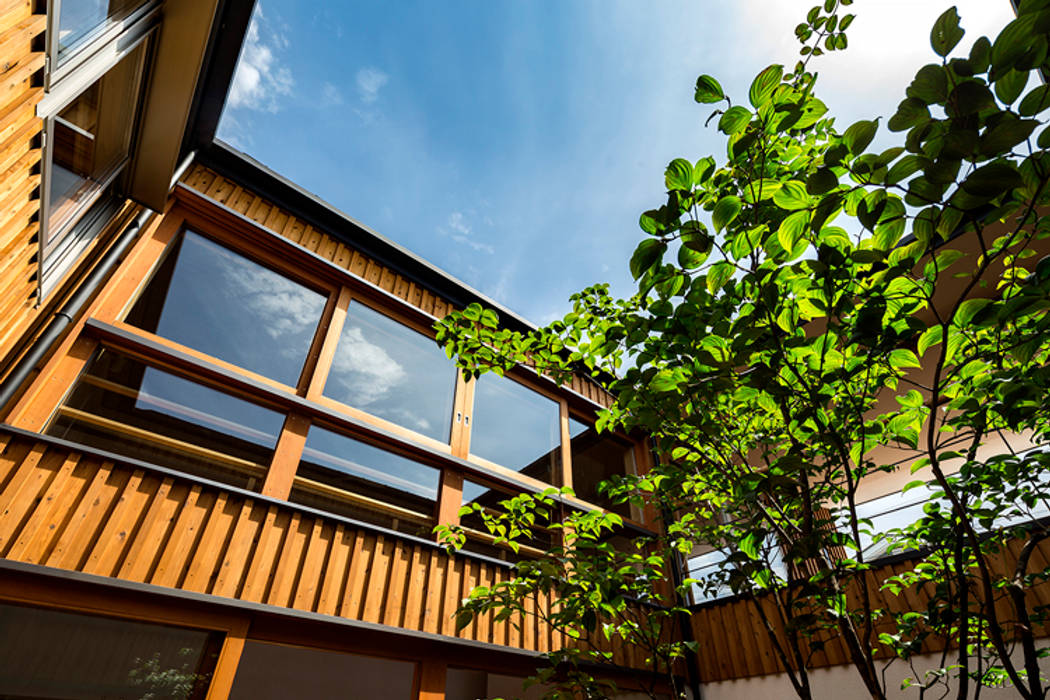 中一の沢・光庭のある家, 中山大輔建築設計事務所/Nakayama Architects 中山大輔建築設計事務所/Nakayama Architects Дерев'яні вікна