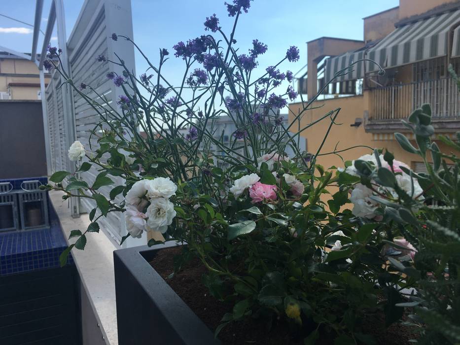 ​Una terrazza romana urban mediterranean, Au dehors Studio. Architettura del Paesaggio Au dehors Studio. Architettura del Paesaggio