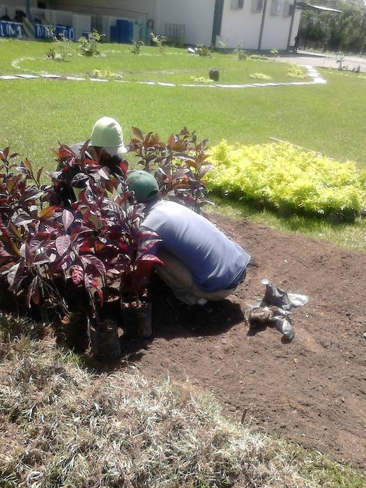 homify Jardines de piedra Piedra