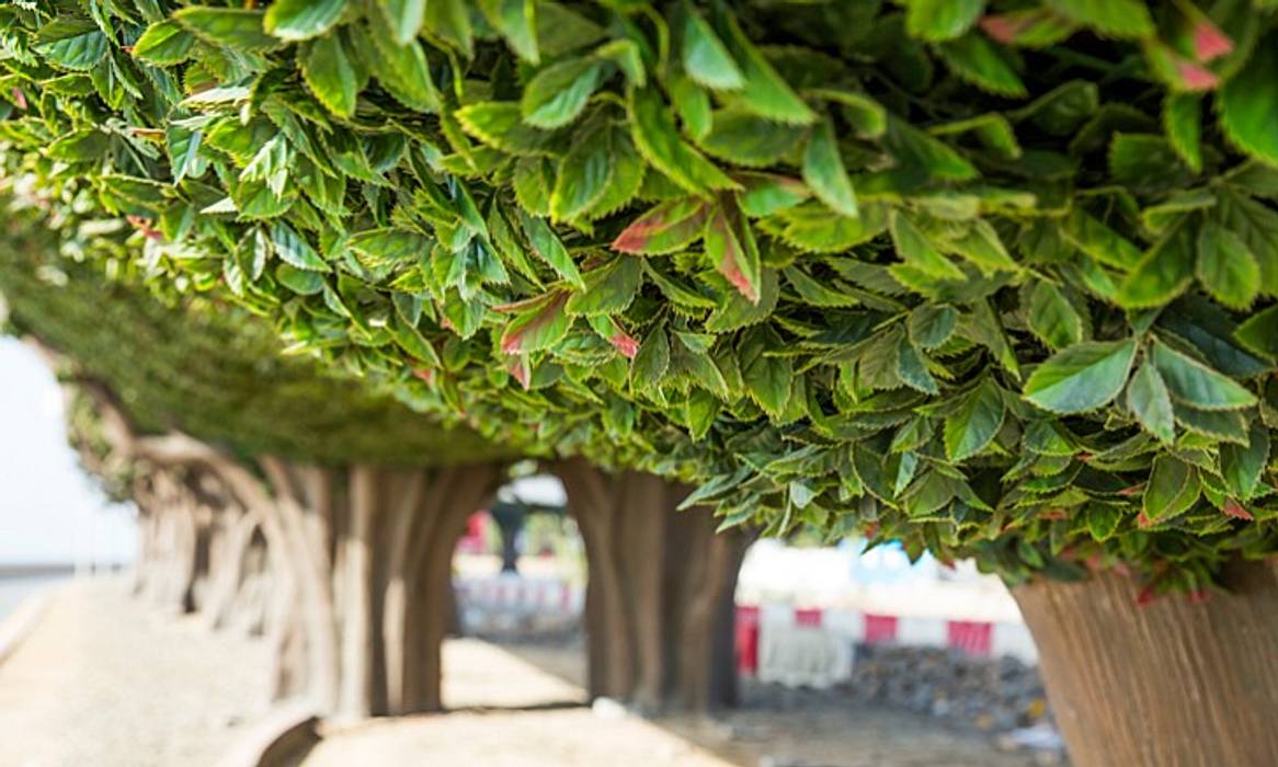 #SUNWING artificial foliage hedges in a forest bridges project in the #Dubai, Sunwing Industrial Co., Ltd. Sunwing Industrial Co., Ltd. Powierzchnie handlowe Plastik Stadiony