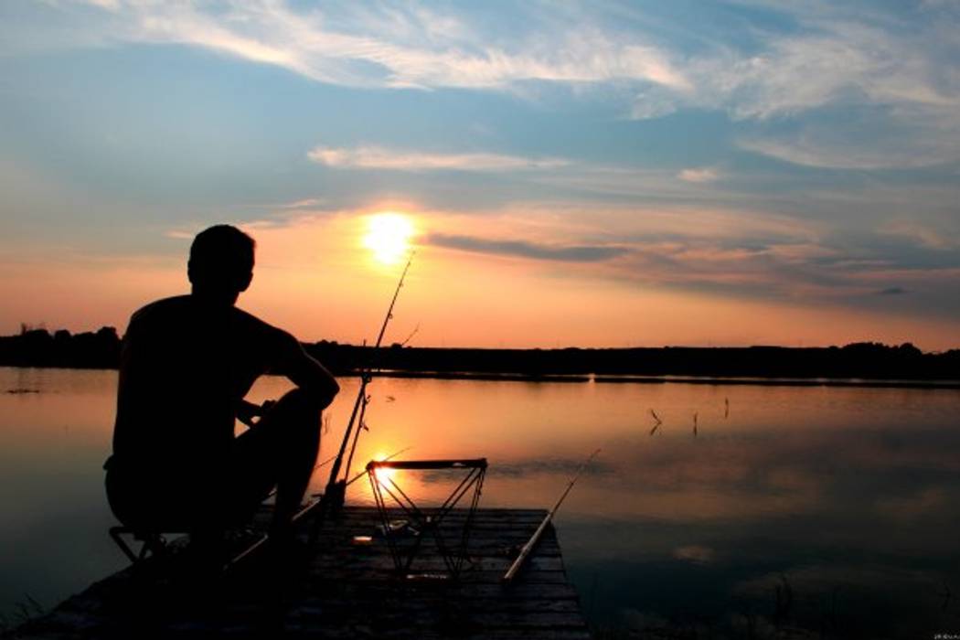 Micro Lodges around Fishing Lake Building With Frames Log cabin لکڑی Wood effect