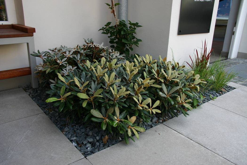 Aussenbereich Feinkost Muller Dresden Weisser Hirsch Mediterrane Gastronomie Von Hansel Garten Und Landschaftsbau Gmbh Mediterran Homify