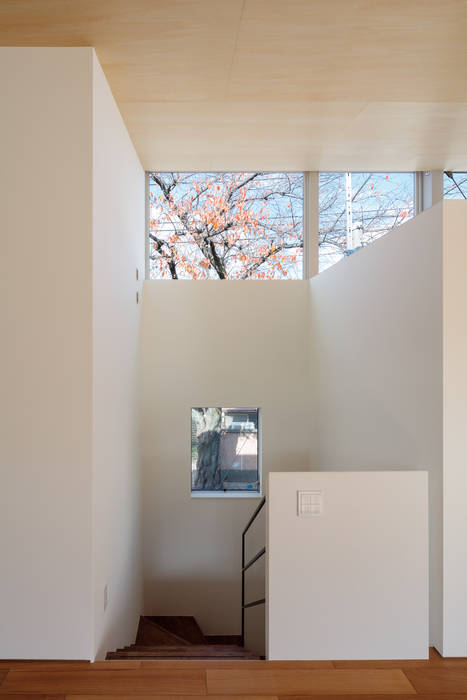 桜並木と暮らす家, 設計事務所アーキプレイス 設計事務所アーキプレイス ミニマルな 窓&ドア
