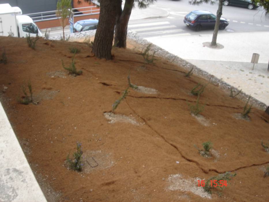 Jardim Famalicão Jardins clássicos por Viveiros da Boa Nova, Lda Clássico