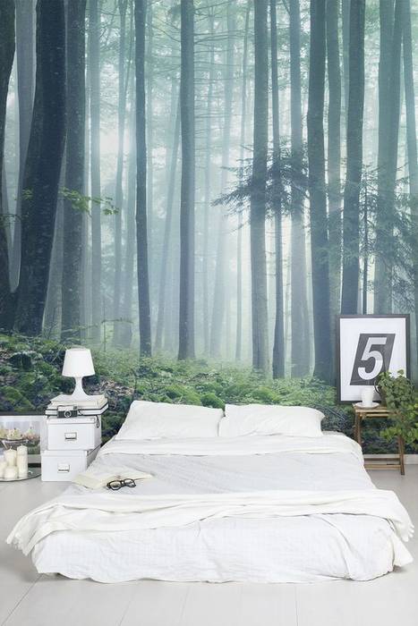 Foggy Forest homify Rustik Duvar & Zemin duvar,orman,digitalbaskı,duvar kağıdı,duvar kaplamaları