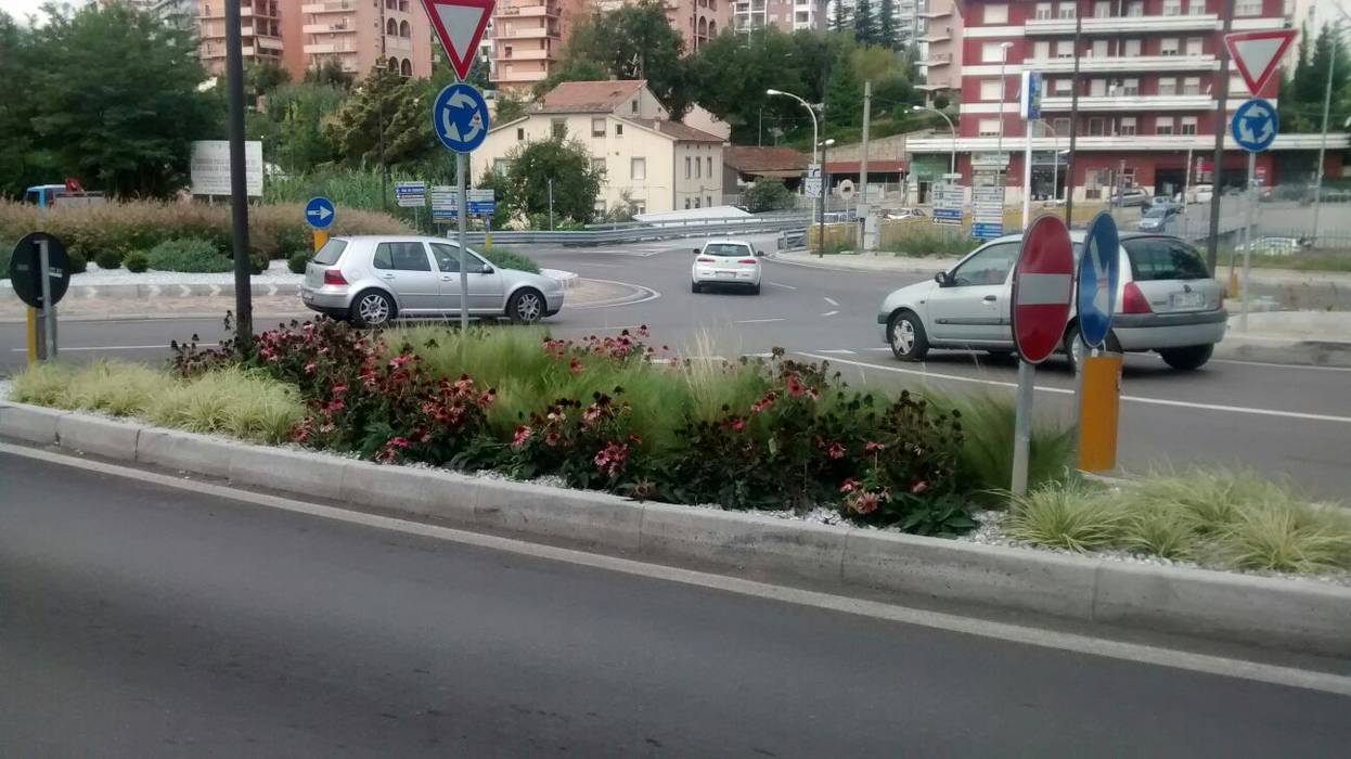 Verde su rotatoria , LUCIA PANZETTA - PAESAGGISTA LUCIA PANZETTA - PAESAGGISTA