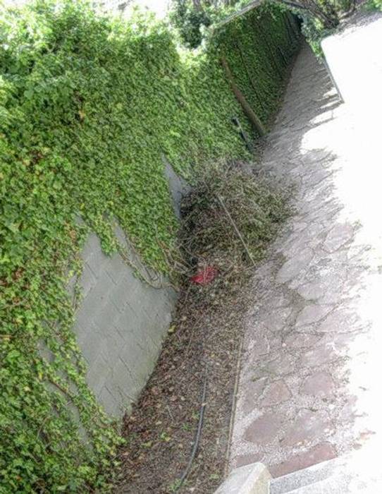 Antes paisajistas y jardineros antes y después,jardín oriental,jardin bajo consumo