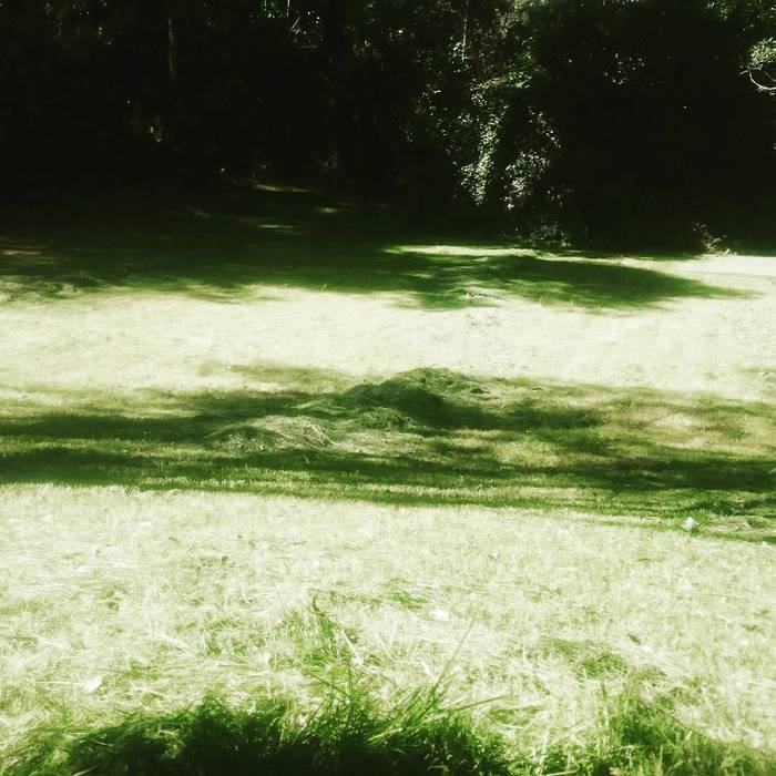 Mantenimiento de jardines , Línea de tierra Línea de tierra Arrumos de jardim