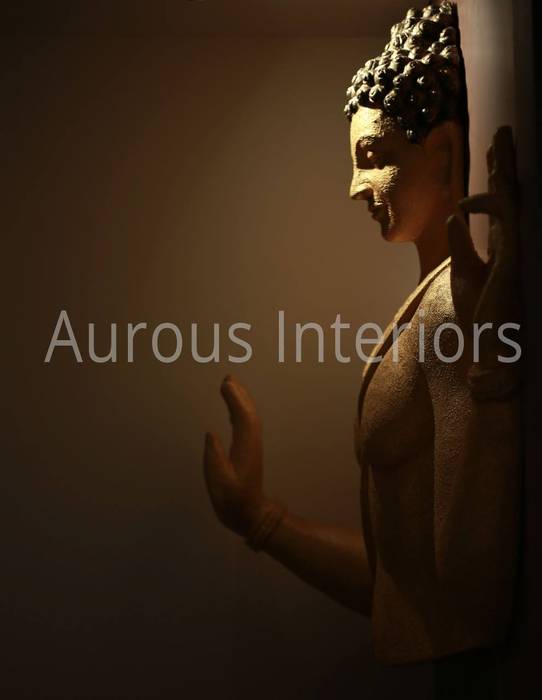 Project, Aurous Interiors Aurous Interiors