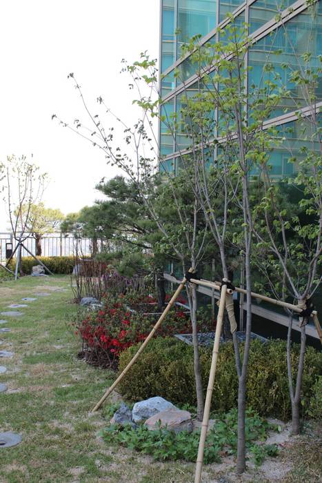 옥상정원_타워팰리스 펜트하우스 옥상 정원 프로젝트, (주)정원디자인더숲 (주)정원디자인더숲 Modern garden