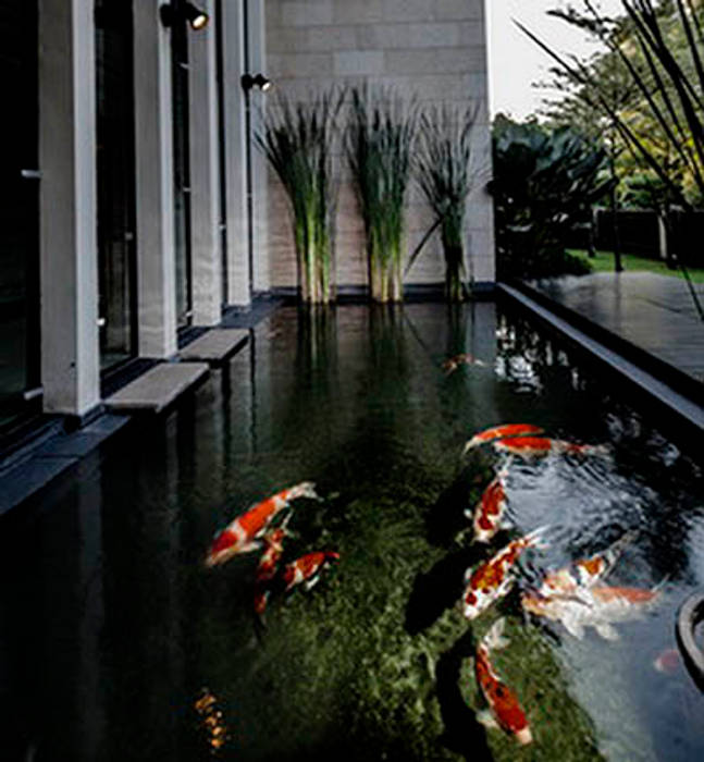 Koi Pond MJ Kanny Architect Tropical style bedroom