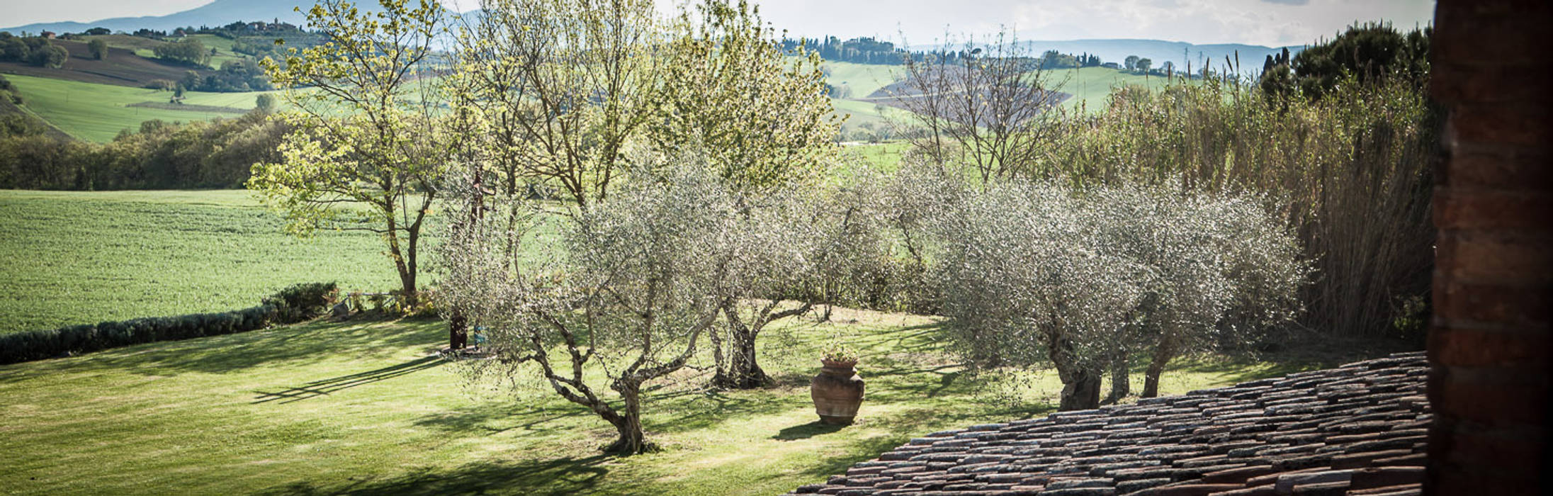 homify Jardines en la fachada