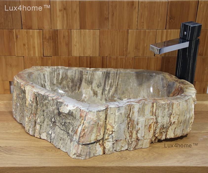 petrified wood sink homify Steam Bath