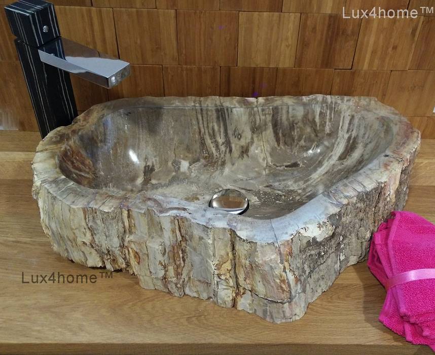 petrified wood wash basin homify Tropical style bathrooms