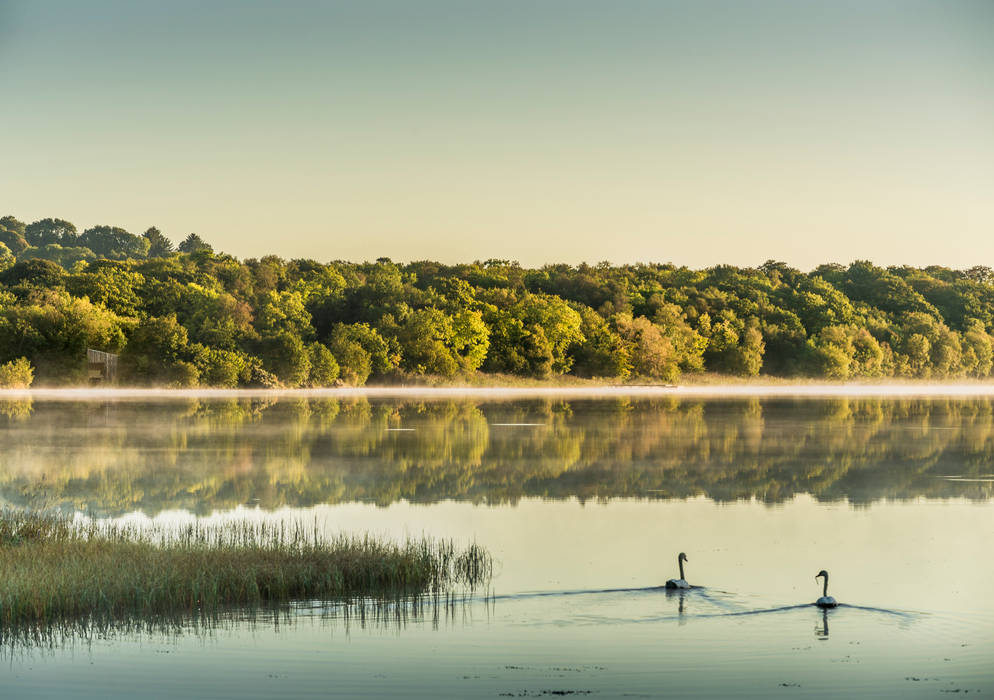 Finn Lough Resort - Spa, RA\\ Rebelo de Andrade RA\\ Rebelo de Andrade Espacios comerciales Hoteles