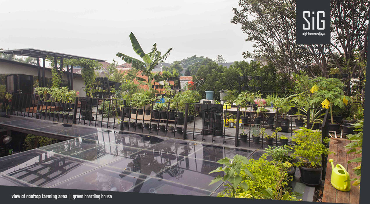 Rumah Beranda - Green Boarding House, sigit.kusumawijaya | architect & urbandesigner sigit.kusumawijaya | architect & urbandesigner Garden Shed Iron/Steel