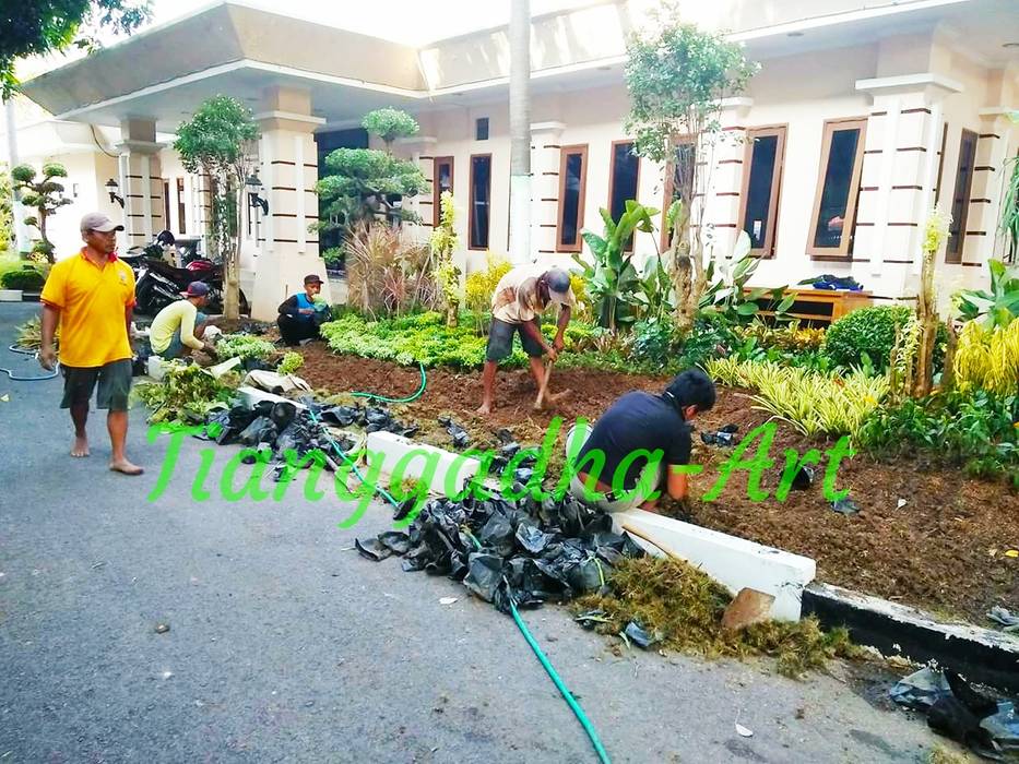 Proses Pekerjaan Pemasangan Taman Tukang Taman Surabaya - Tianggadha-art Taman batu Batu tukang taman Surabay,jasa tukang taman,desain taman Surabay