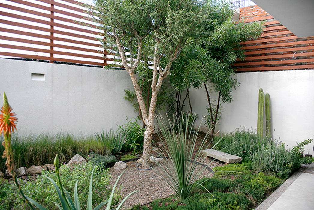 Campestre 545, Querétaro., Hábitas Hábitas Rock Garden