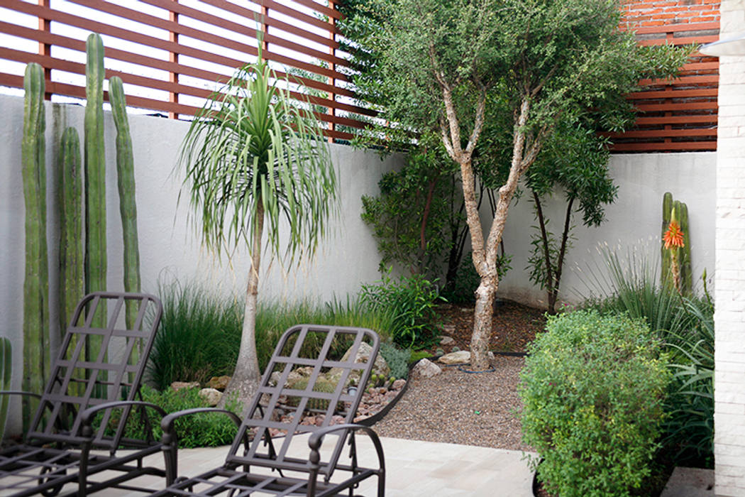 Vista del área oriente desde la terraza. Hábitas Jardines con piedras