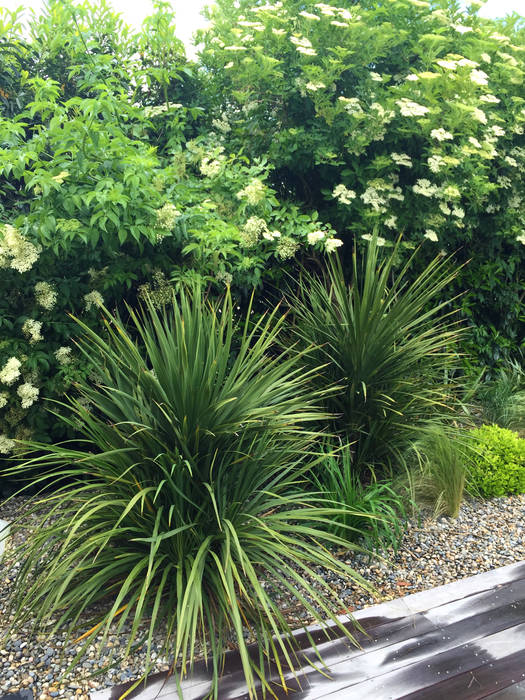 Trente nuances de verts..., Paradeisos conception de jardin Paradeisos conception de jardin トロピカルな 庭