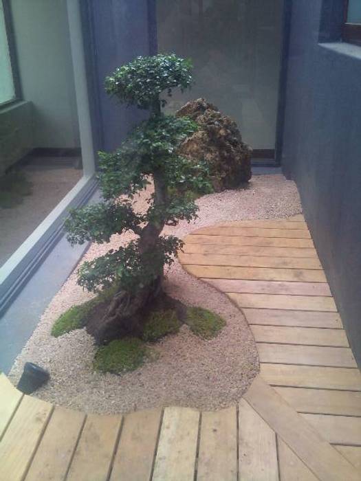 CABELO, Japanese Garden Concepts Japanese Garden Concepts Asian style garden