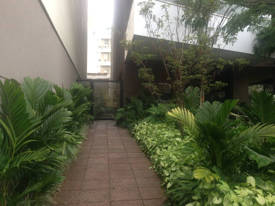 Jardim Tropical, Edu Leal Paisagismo Edu Leal Paisagismo Commercial spaces Commercial Spaces