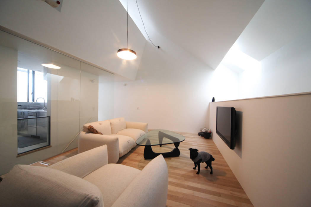 犬と暮らす様子 石川淳建築設計事務所 ミニマルデザインの リビング 白色 ペットと暮らす,木造,犬と暮らす家,犬と住む家