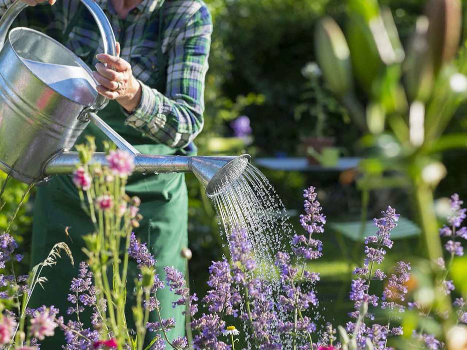 Gardening, Phương Đàm Phương Đàm كوخ حديقة