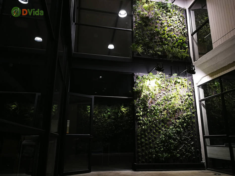 Muros verdes patio interior DVida Jardines verticales Oficinas de estilo rural