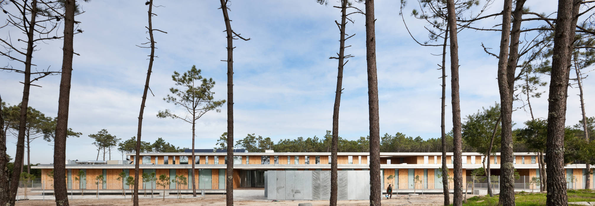 Centro Escolar da Gafanha da Boa Hora - Lunawood, Banema S.A. Banema S.A. Floors Engineered Wood Transparent