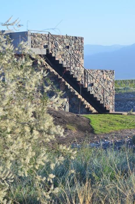 The Vines Resort & Spa | Villas Bórmida & Yanzón arquitectos Espacios comerciales Hoteles