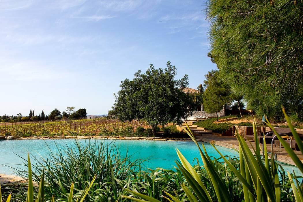 Quinta em Carvoeiro, Jardíssimo Jardíssimo Front yard