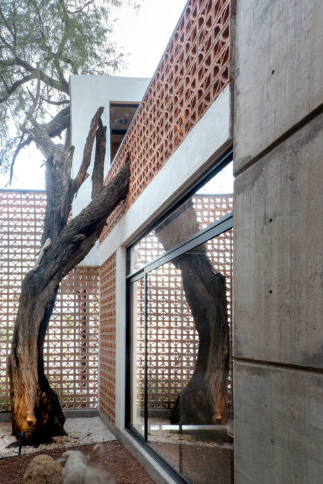 Maravillosa Casa YY, CUBO ROJO Arquitectura CUBO ROJO Arquitectura Jardines en la fachada