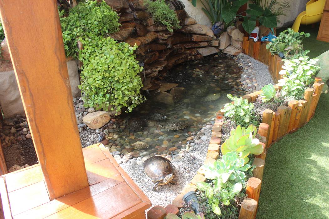 Tomando Sol Ambient Natura Estanques de jardín Piedra Santoario,tortugas,cocodrilo,estanque laguna de jardín