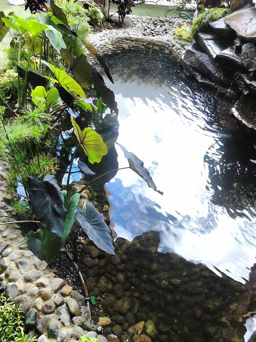 Casa SantOario, Ambient Natura Ambient Natura Garden Pond