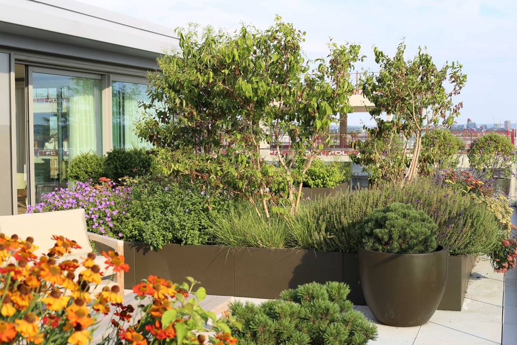 Fulham Reach, London Aralia Taras na dachu Drewno O efekcie drewna roof terrace,garden furniture,planters,garden design,landscape design,rooftop garden,roof garden,outdoor lounge,outdoor furniture,potted plants