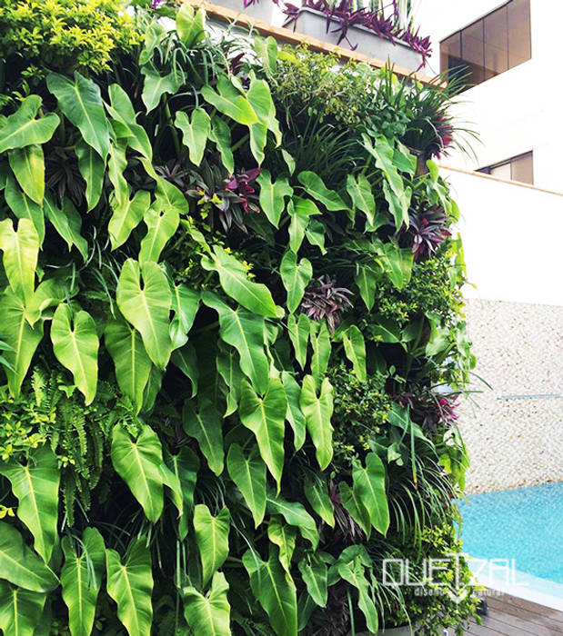 Jardín vertical residencial Quetzal Jardines Piscinas de estilo moderno
