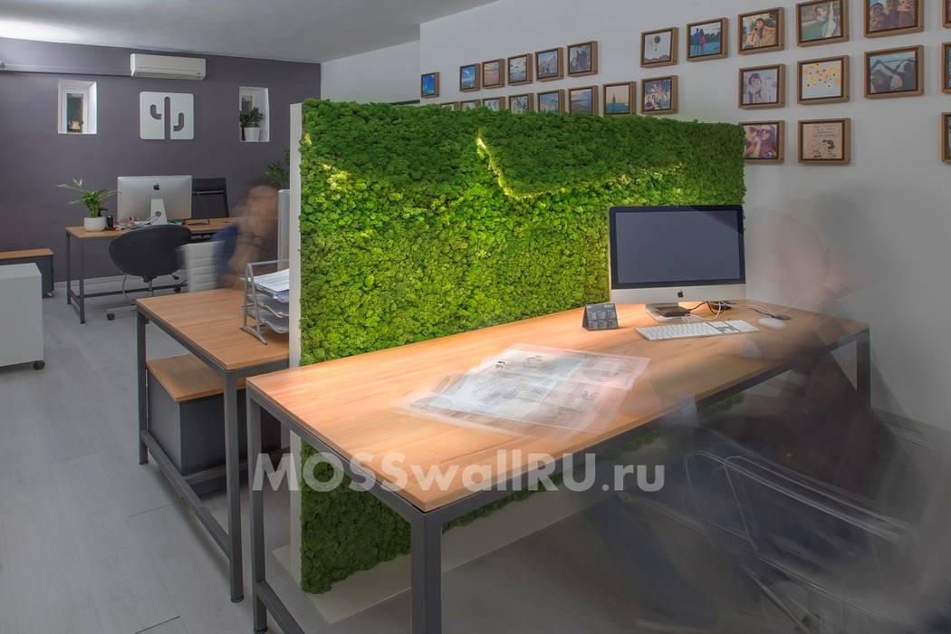Использование стабилизированного мха в офисе MOSSwallRU Стабилизированный Мох Коммерческие помещения мох,дизайн интерьера,ягель мох,фитостена,стабилизированный,Офисные помещения