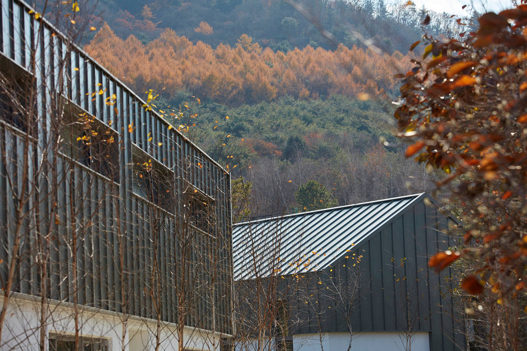 lyanature LAB (리아네이처 연구소 및 창고동), 위즈스케일디자인 위즈스케일디자인 Roof